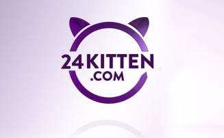 Viacom 24 kitten