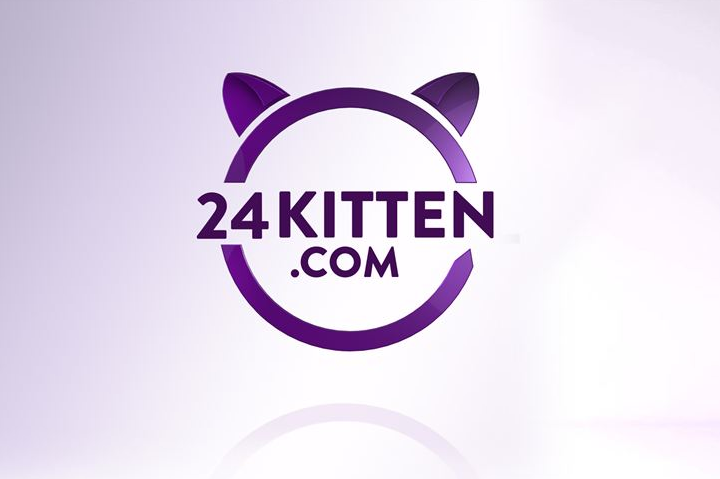 Viacom 24 kitten