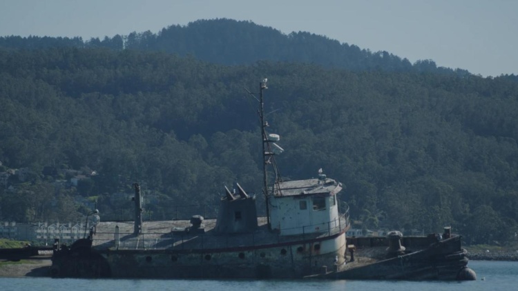 Zizians dokumentärserie på HBO Max bekräftad